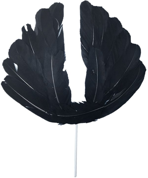 Black Feather Cake Topper